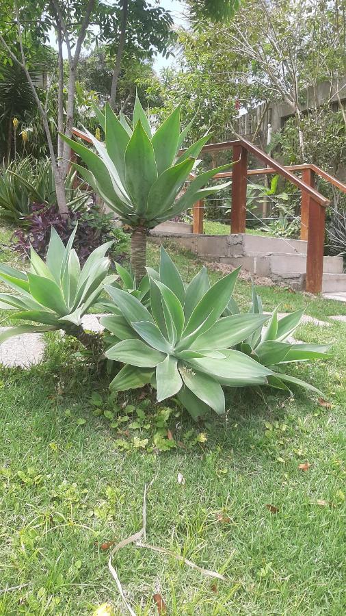 Vivamar Ferradura Bed & Breakfast Armacao dos Buzios Dış mekan fotoğraf